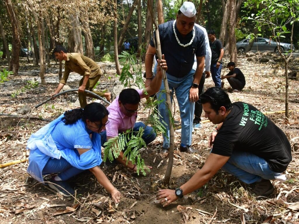 Greenman Viral Desai marks World Environment Day by planting 700 trees